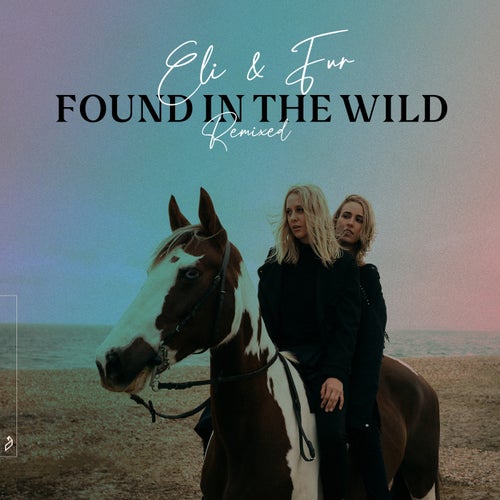 Cover art for Found In The Wild (Remixed)