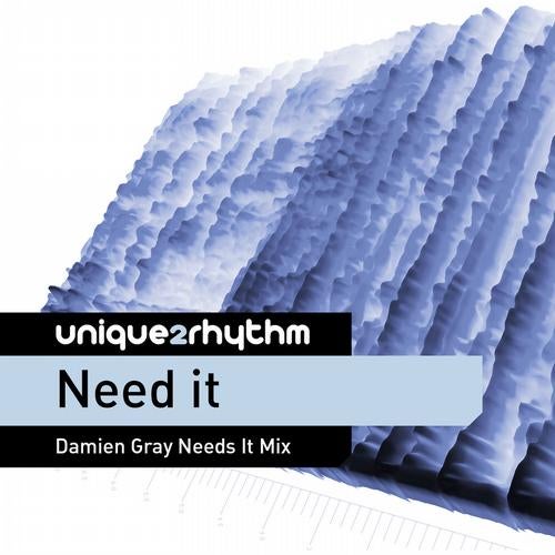 Need It - Damien Gray Mixes