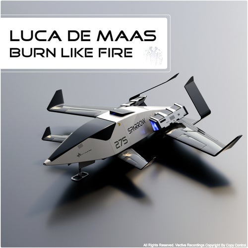  Luca De Maas - Burn Like Fire (2025) 