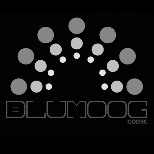 Blumoog Codec
