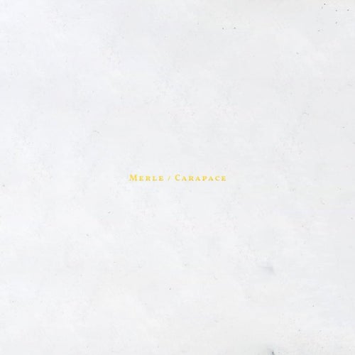 Lettre Ouverte (Album Sampler)