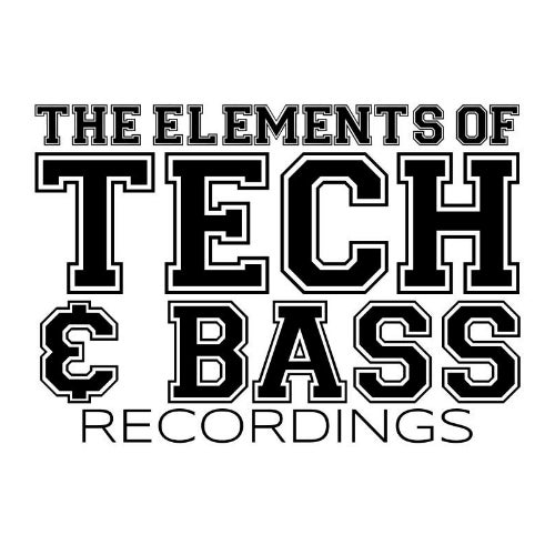 THE ELEMENTS OF TECH & BASS RECORDINS