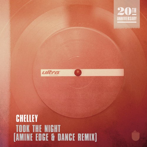 Took The Night - Amine Edge & DANCE Remix