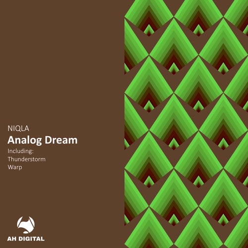 Analog Dream