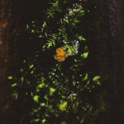 NiuuuR EP (incl. Grsha, Iacob Remixes)
