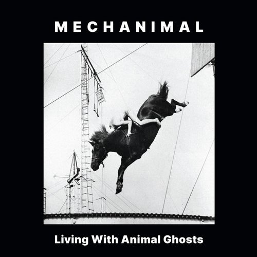 Living with Animal Ghosts