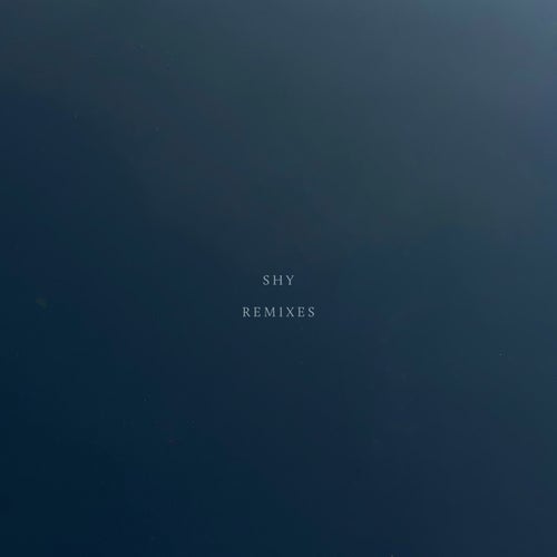 Shy Remixes
