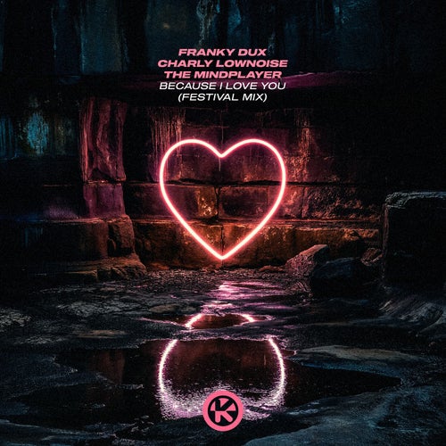 Because I Love You (Festival Mix)