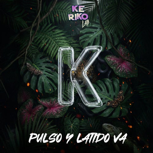 Pulso y Latido
