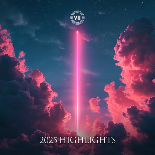 VII - 2025 Highlights