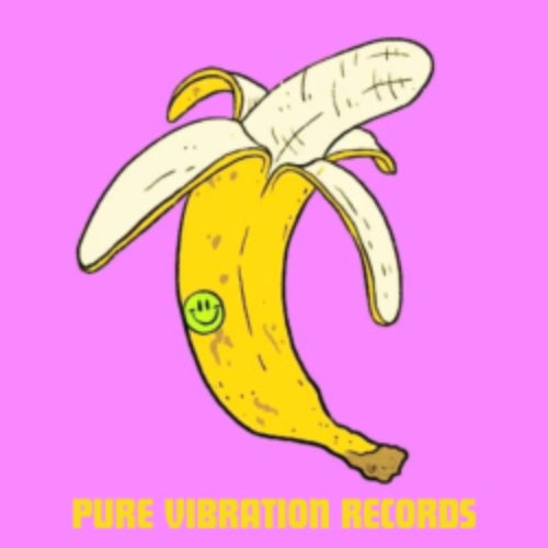 Pure Vibration Records