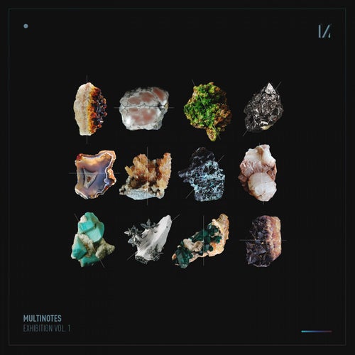 Multinotes Exhibition, Vol. 1