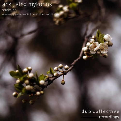 Cover art for Stroke EP