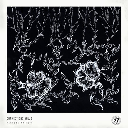 Connections Vol. 2
