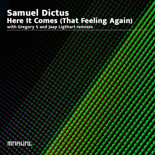 VA - Samuel Dictus - Here It Comes (That Feeling Again) (2024) (MP3)