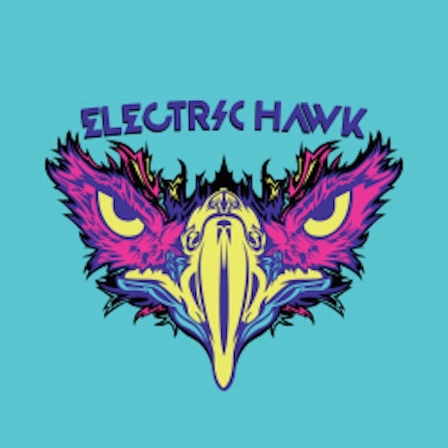 Electric Hawk Records