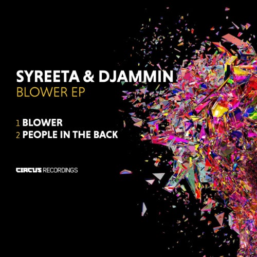 BLOWER CHART