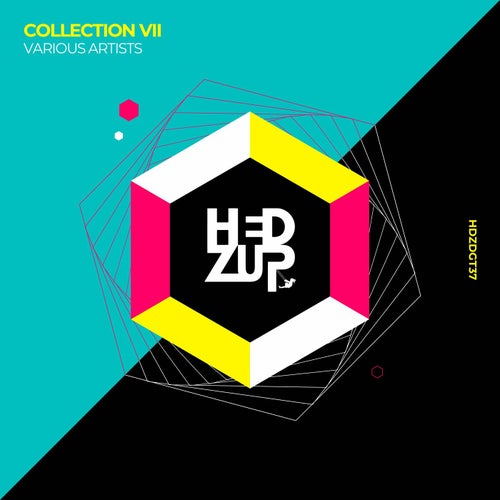Cover art for Collection VII