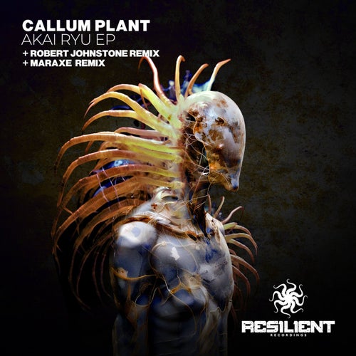  Callum Plant - AKAI RYU (2025) 