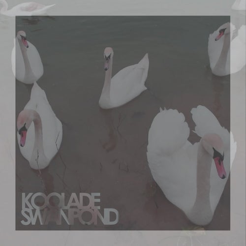 Swan Pond