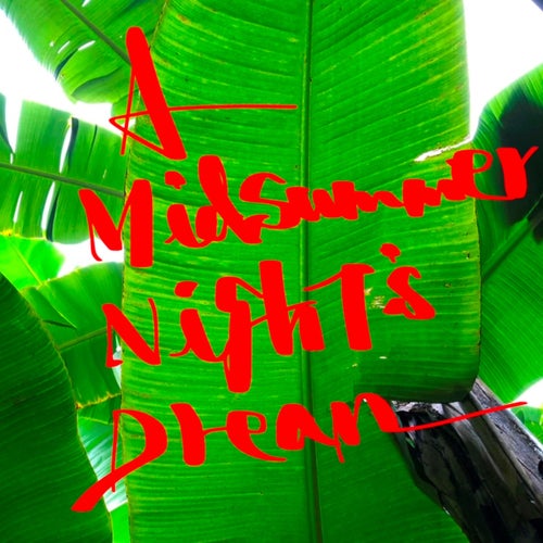 A Midsummer Night's Dream