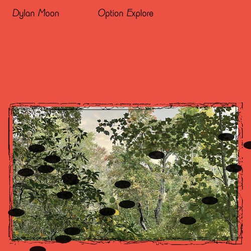 Cover art for Option / Explore