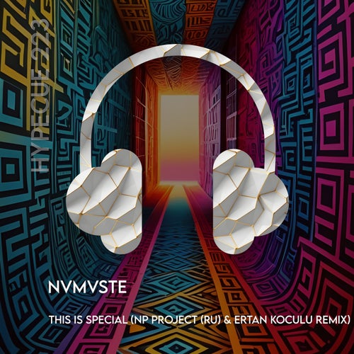 This Is Special (NP Project (RU) & Ertan Koculu Remix)