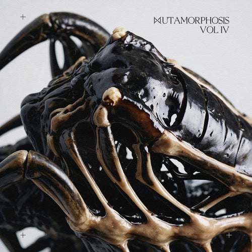 MUTAMORPHOSIS, Vol. 4