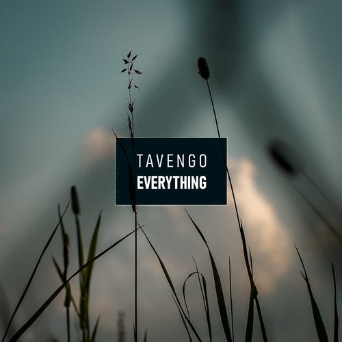 Cover art for Everything