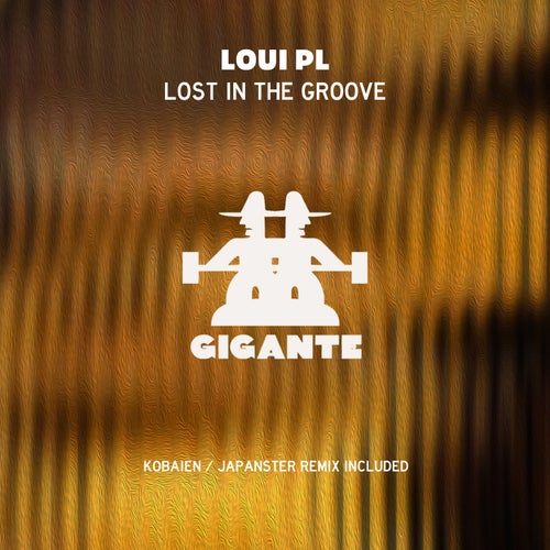 LOST IN THE GROOVE