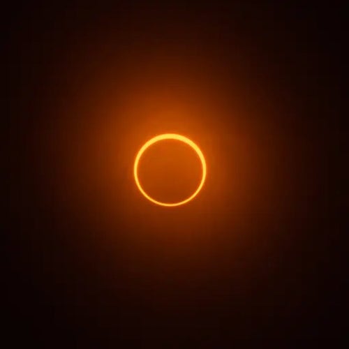 Totality Track