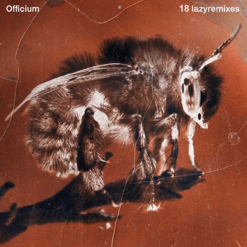 18 Lazyremixes