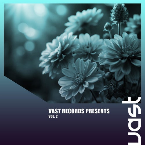 VAST Records Presents, Vol. 2