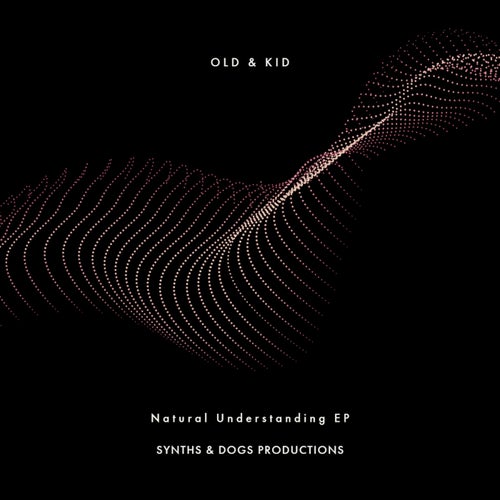 Cover art for Natural Understanding