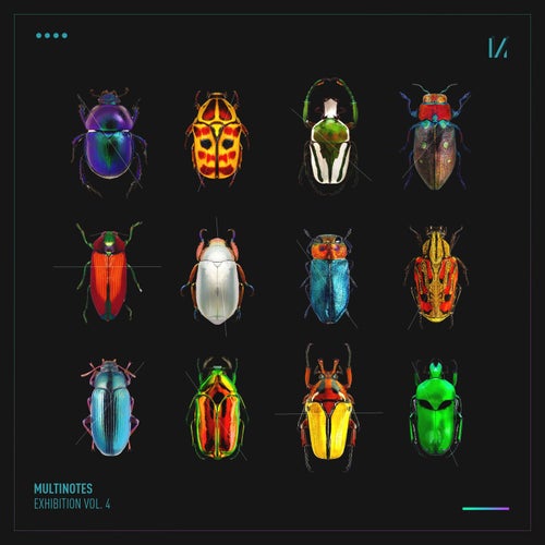 Cover art for Exhibition, Vol. 4