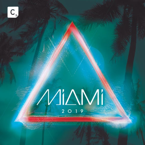 Reckless miami house party ends with compilations