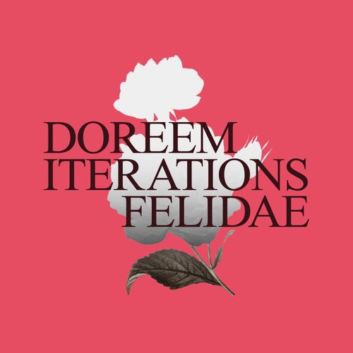Cover art for Iterations Felidae