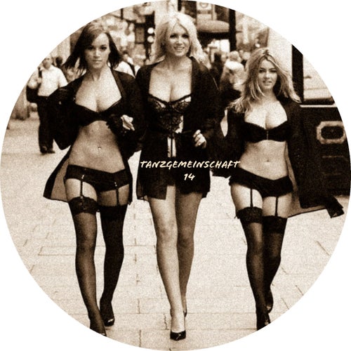 Cover art for Tanzgemeinschaft 14