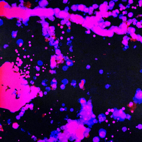 Cover art for Instinctive Flow