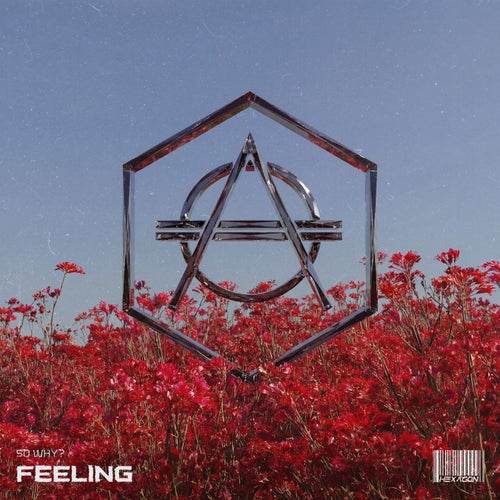 Feeling - Extended Mix