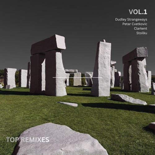 Top Remixes Vol. 1