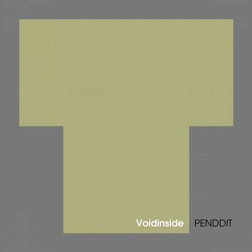 Cover art for Voidinside