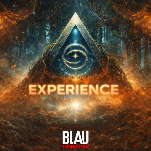 Experience