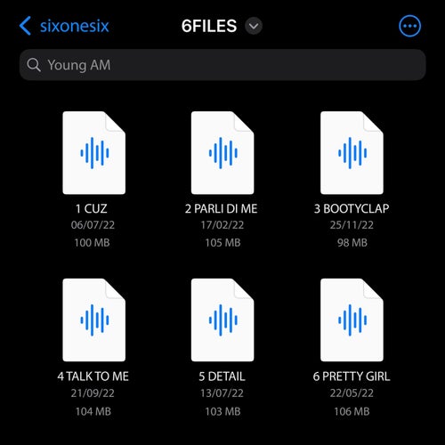 6FILES