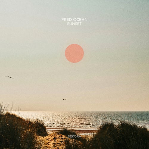  Fred Océan - Sunset (2026) 
