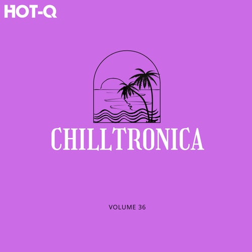 Chilltronica 036