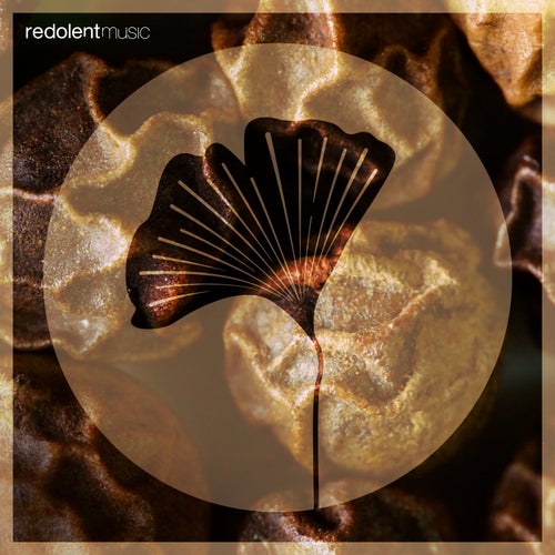 Amohana-Olokun