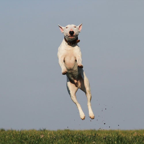 Jump