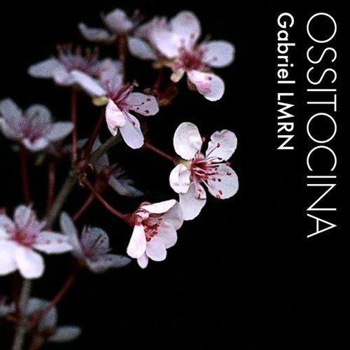 Ossitocina