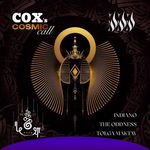 Cosmic Call